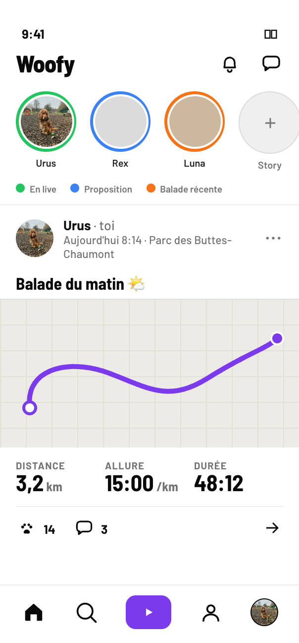 Écran d'accueil de Woofy : stories des amis en balade et dernière promenade partagée