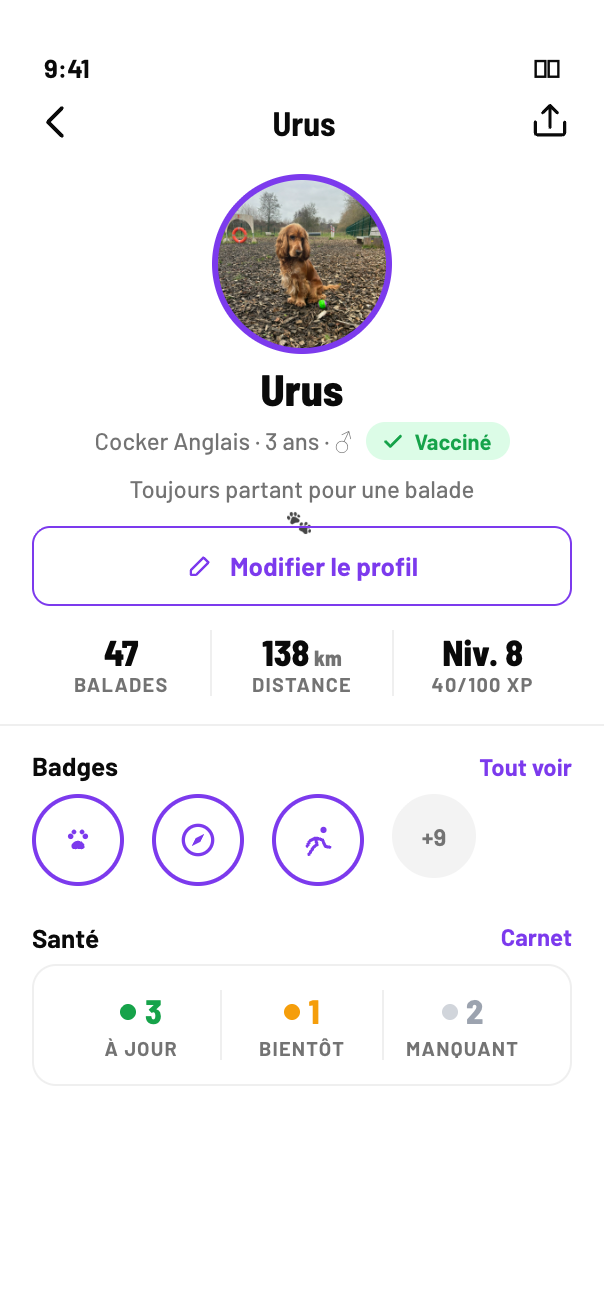 Profil d'un chien dans Woofy : nombre de balades, distance totale, niveau et badges